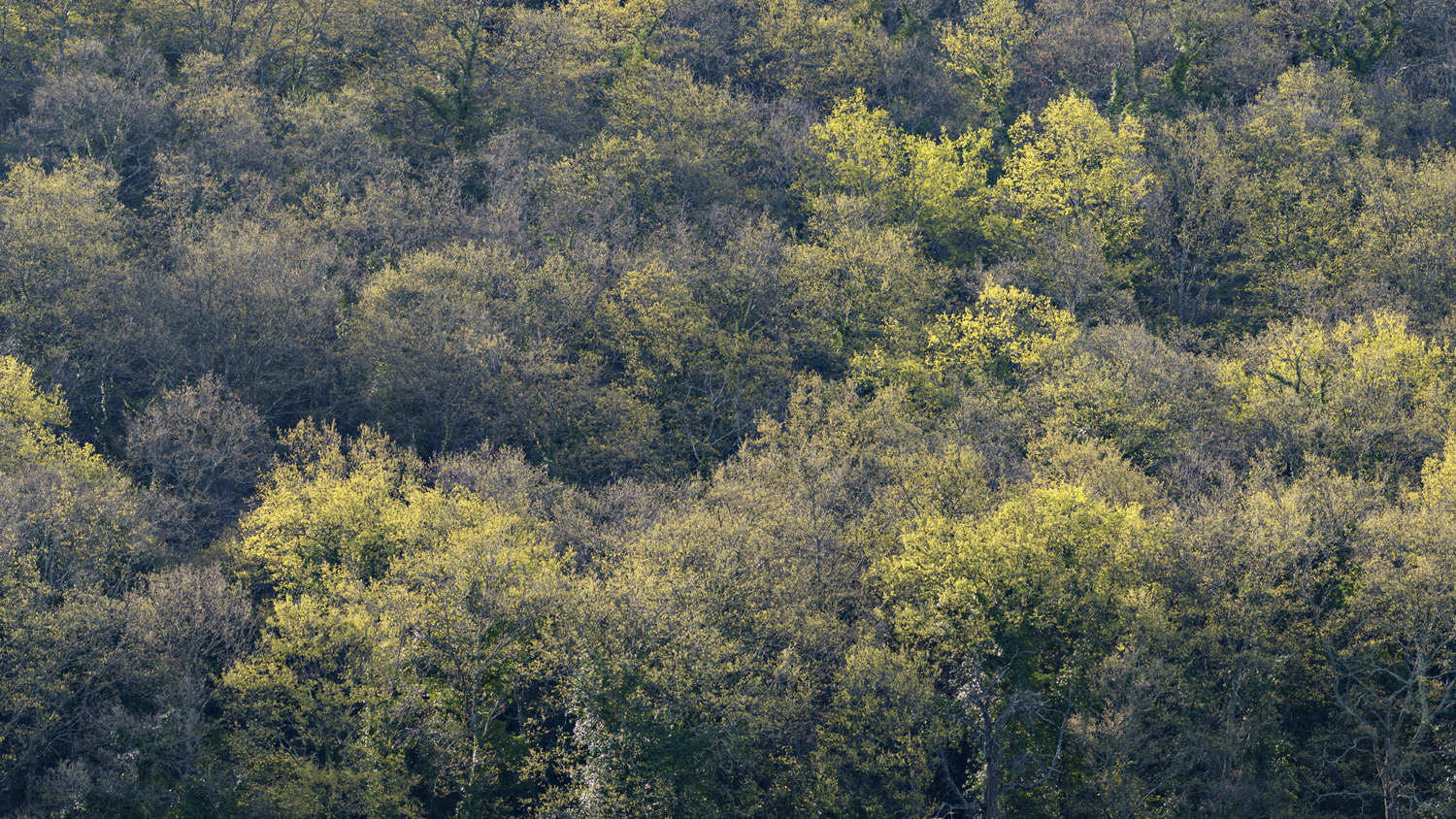 Aperture. Archivi, fonti e paesaggio: come nasce la memoria del territorio - Copertina
