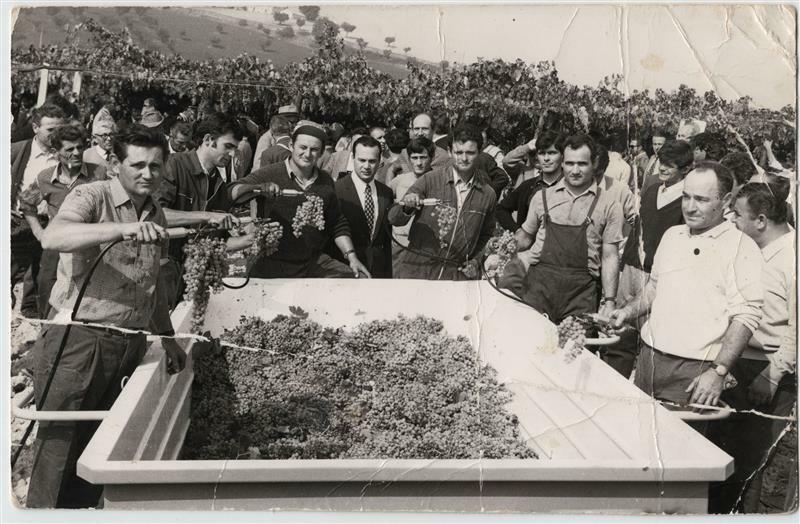 Archivio di Comunità - Copertina