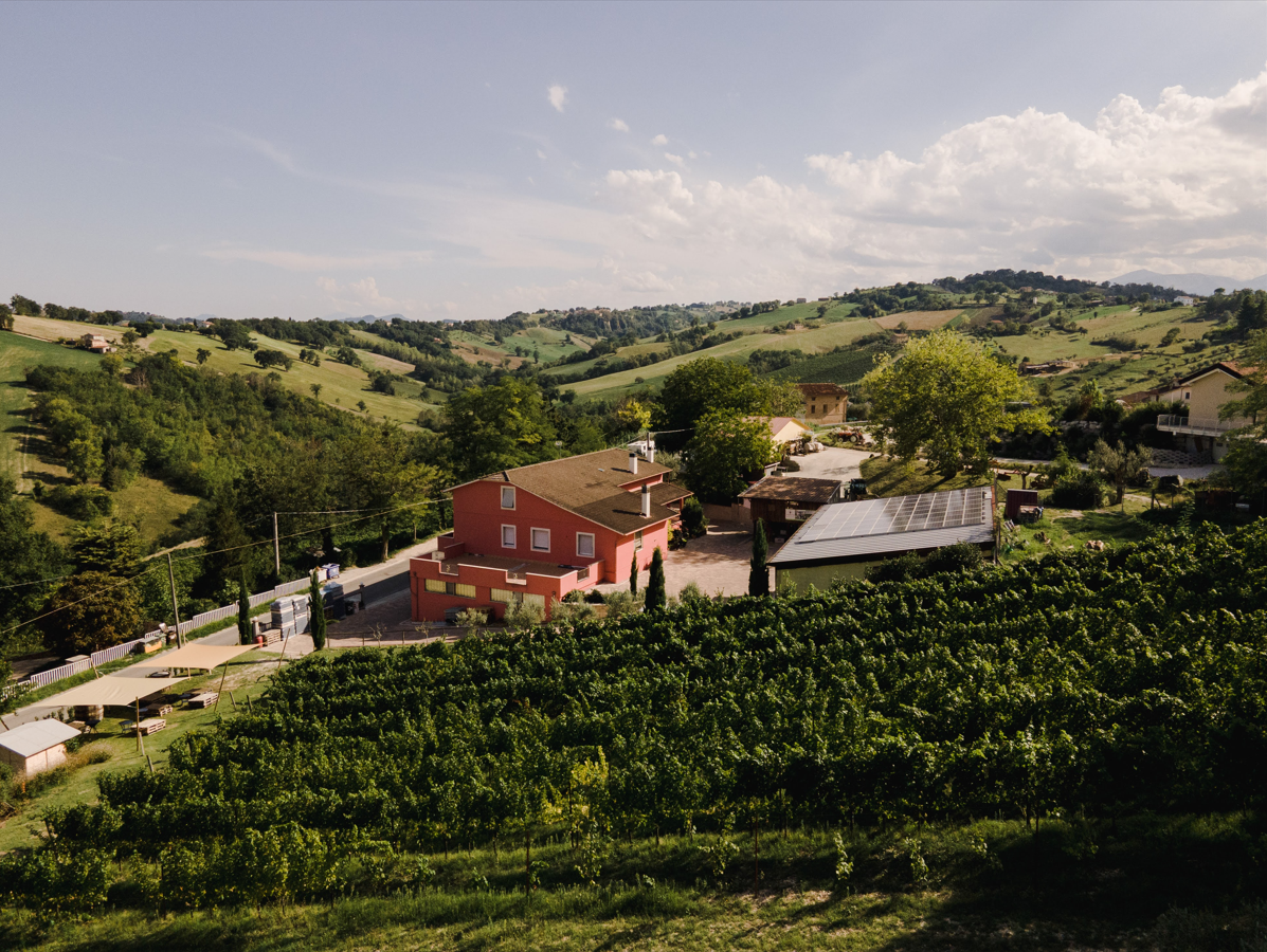 Cantina Saputi