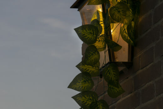 Cinquepunto Zero Bistrot 17