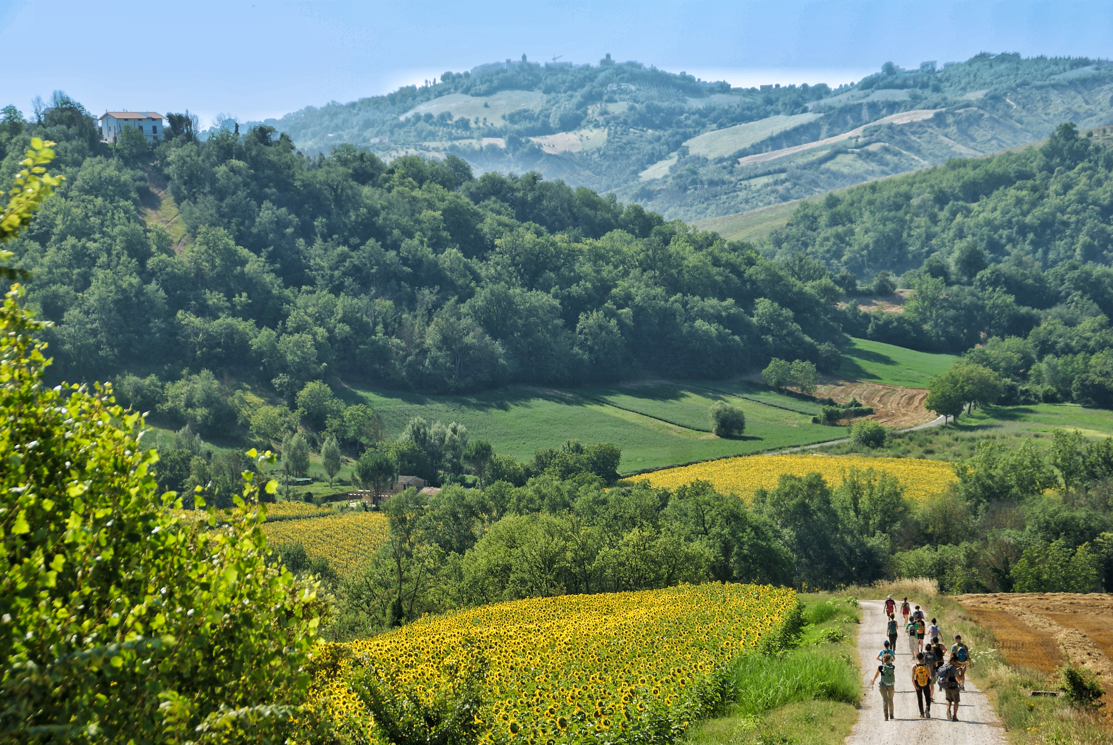 Tappa 4 San Ginesio - Ripe San Ginesio