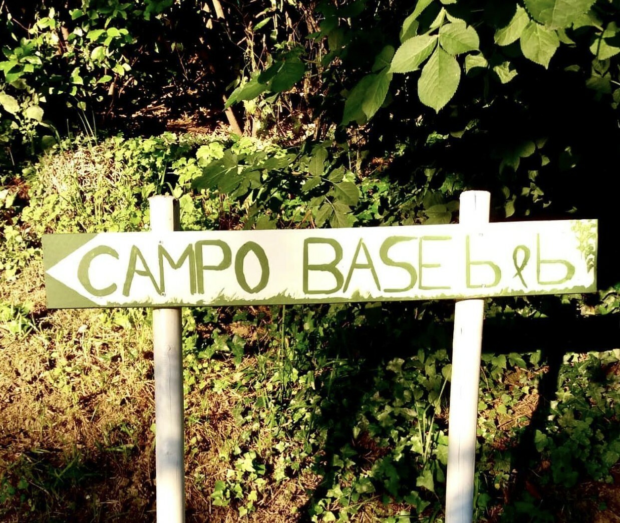 Campo