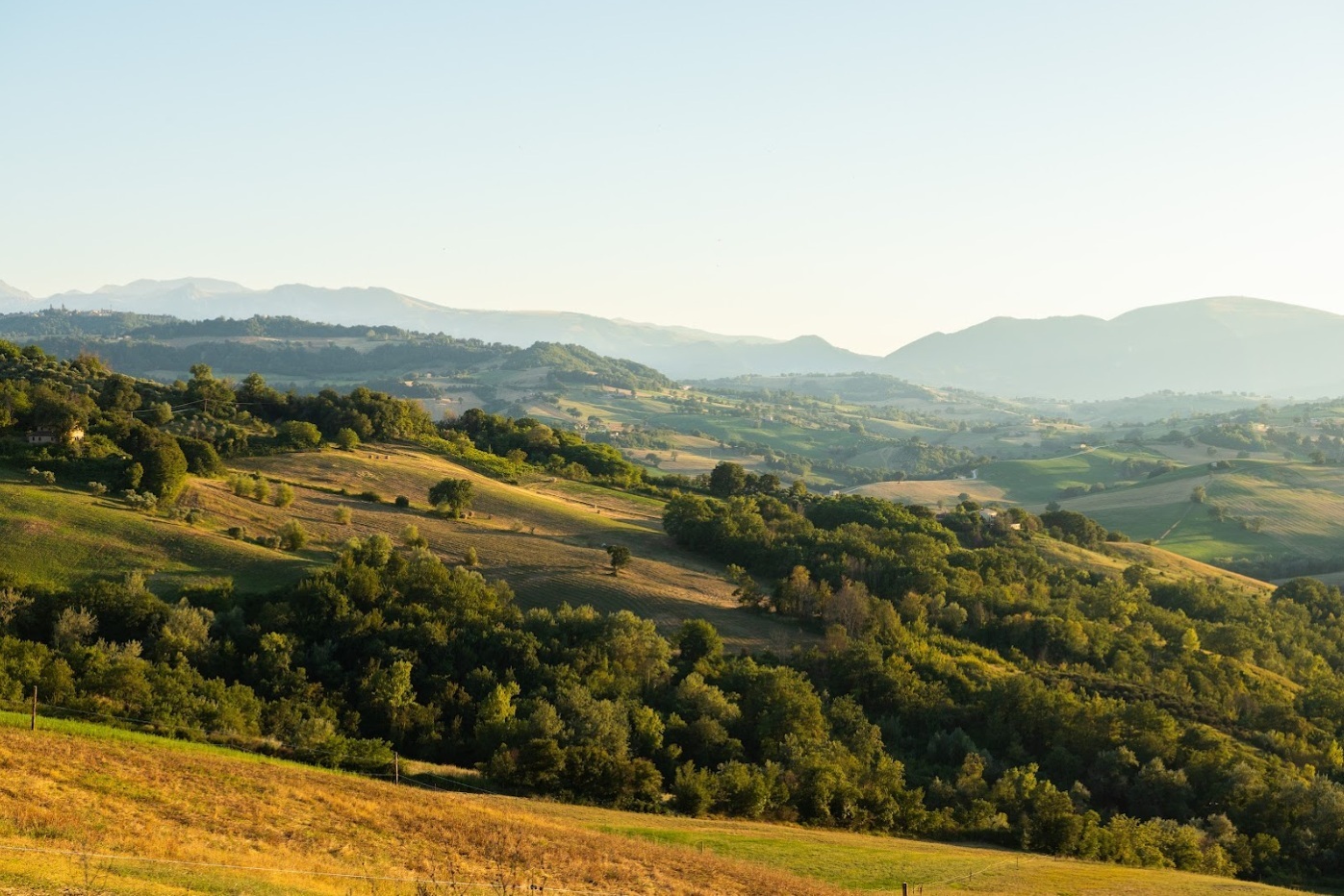 Il ruolo degli Osservatori del Paesaggio nella pianificazione - Copertina