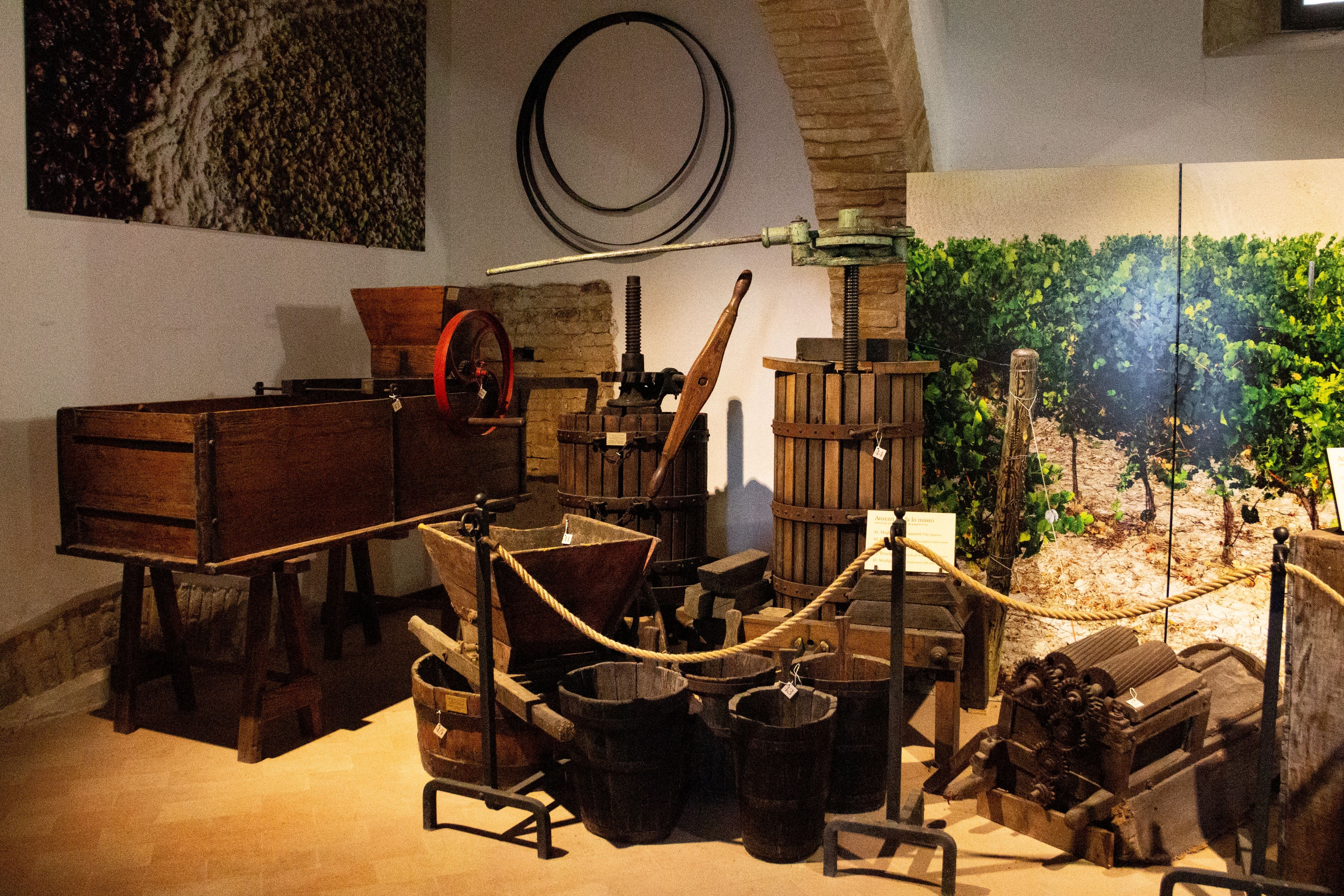 Museo del Vino Cotto - Copertina