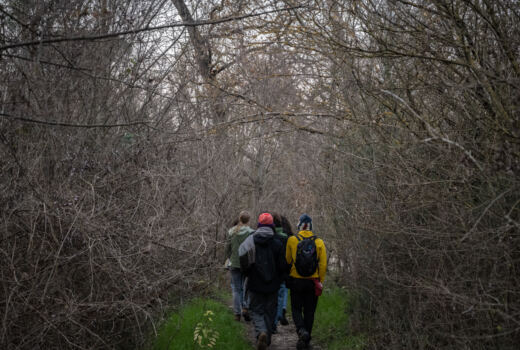 Scuola del Paesaggio 9