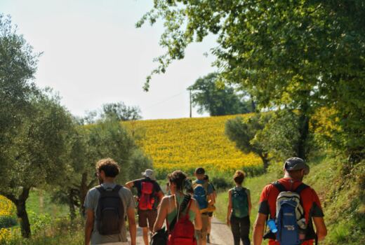 Tappa 3 Sant'Angelo in Pontano - San Ginesio 8