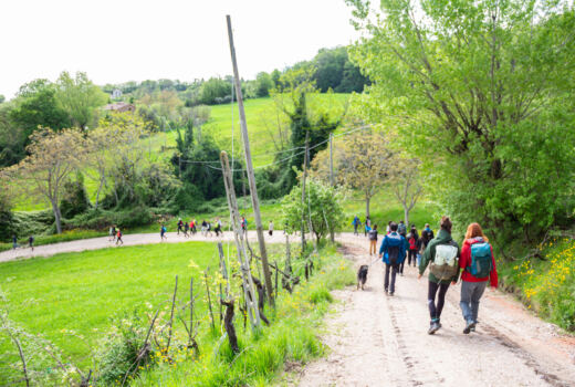 Tappa 4 San Ginesio - Ripe San Ginesio 9