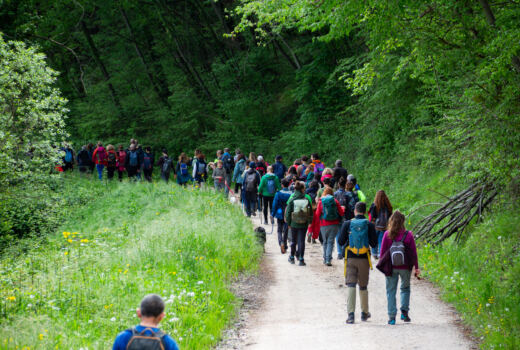 Tappa 4 San Ginesio - Ripe San Ginesio 11