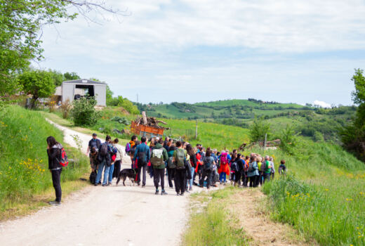 Tappa 4 San Ginesio - Ripe San Ginesio 12