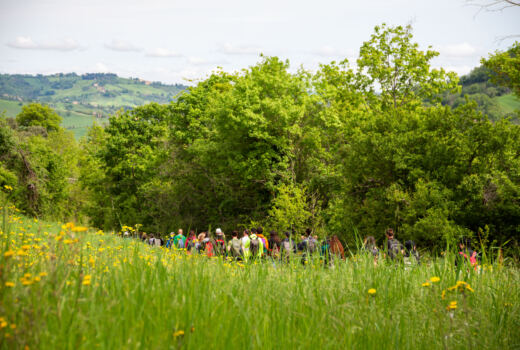 Tappa 4 San Ginesio - Ripe San Ginesio 13