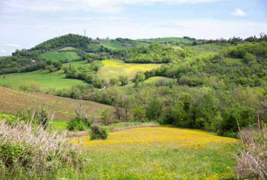 Tappa 4 San Ginesio - Ripe San Ginesio 14