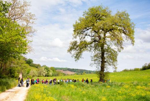 Tappa 4 San Ginesio - Ripe San Ginesio 15