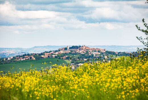 Tappa 4 San Ginesio - Ripe San Ginesio 22