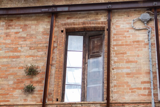 Olobionte Arti Visive 4