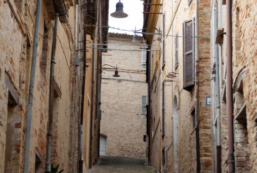 Olobionte Arti Visive 6