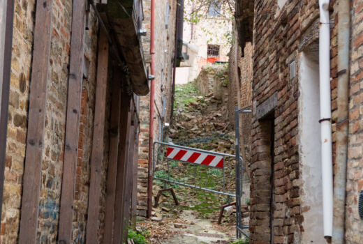 Olobionte Arti Visive 11