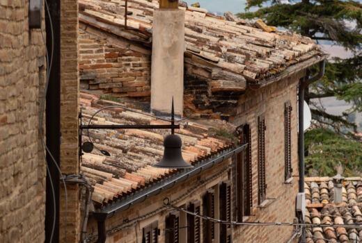 Olobionte Arti Visive 19