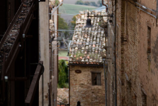 Olobionte Arti Visive 13