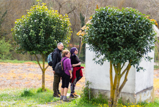 Tappa 2 Loro Piceno - Sant’Angelo in Pontano 6