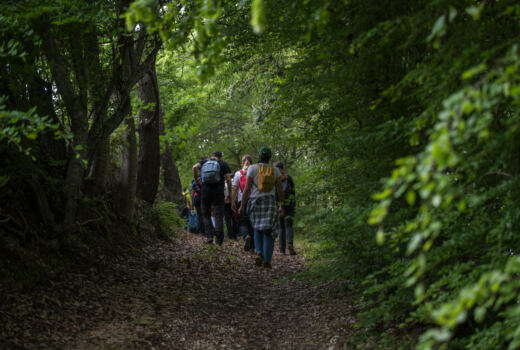 Tappa 6 Colmurano - Urbisaglia 5