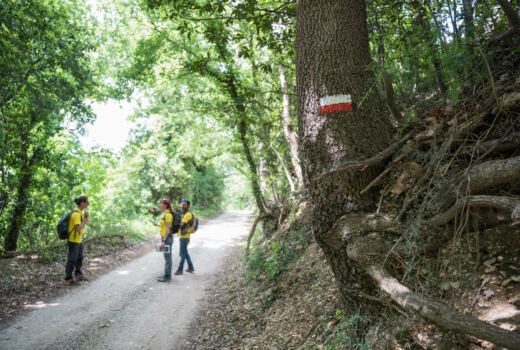 Tappa 6 Colmurano - Urbisaglia 9