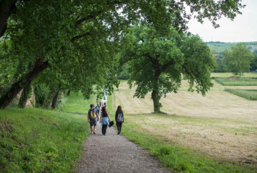 Tappa 7 Urbisaglia - Abbadia di Fiastra 7