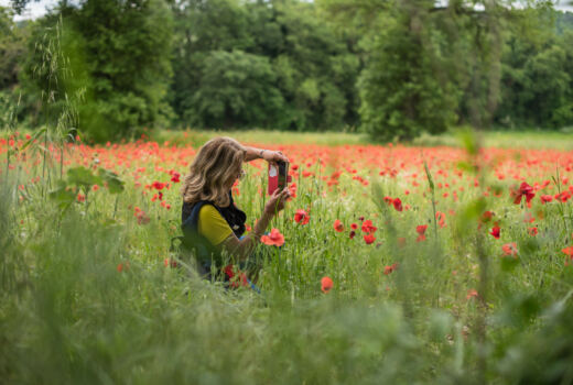 Tappa 7 Urbisaglia - Abbadia di Fiastra 1