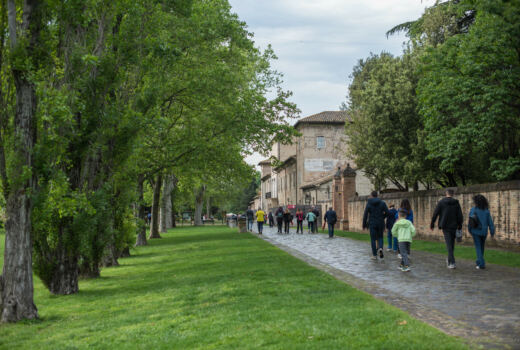 Tappa 7 Urbisaglia - Abbadia di Fiastra 16