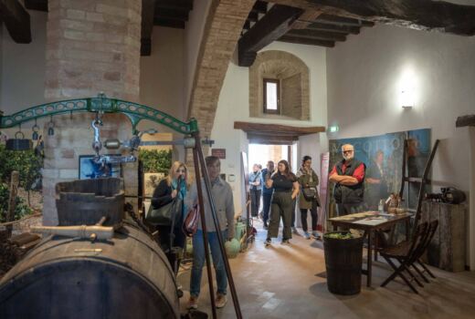 Museo del Vino Cotto 3