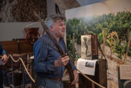 Museo del Vino Cotto 4