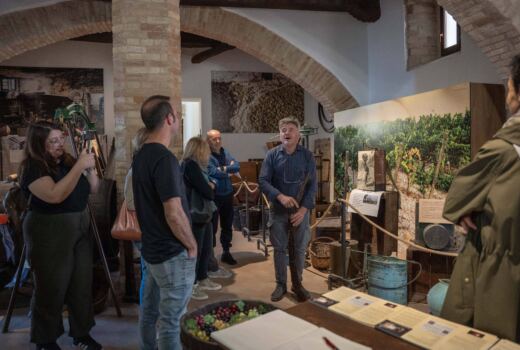 Museo del Vino Cotto 5