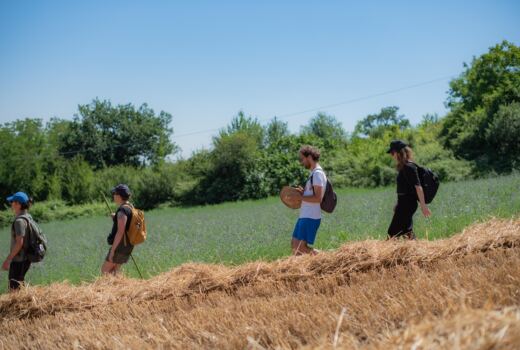 Tappa 3 Sant'Angelo in Pontano - San Ginesio 2