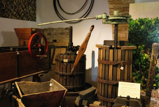Museo del Vino Cotto 2