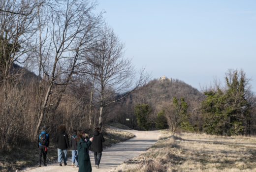 Osservatorio del Paesaggio 3